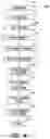Fig. 06 - System and method for improved spell checking