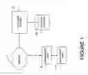 Fig. 02 - Determining geographic locations of private network Internet users