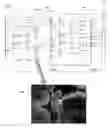 Fig. 01 - Digital image browser