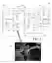 Fig. 02 - Digital image browser