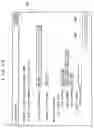 Fig. 28 - Debugging device