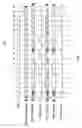 Fig. 03 - Dynamic selection of a compression algorithm for trace data