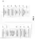 Fig. 07 - Method and apparatus for register allocation in presence of hardware constraints
