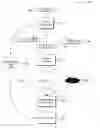 Fig. 01 - System and method for motion picture print forensics