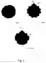 Fig. 04 - System and method for motion picture print forensics