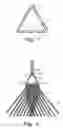 Fig. 02 - Triangular clew ring