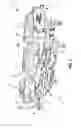 Fig. 02 - Mattress section support