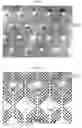 Fig. 07 - Nonwoven fabrics having intercalated three-dimensional images
