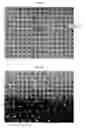 Fig. 09 - Nonwoven fabrics having intercalated three-dimensional images
