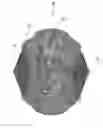 Fig. 01 - Bath sponge
