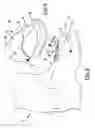 Fig. 04 - Multifunctional telemark boot