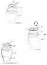 Fig. 04 - Method and device for assembling a grid over the opening of a floral vase/container