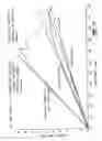 Fig. 06 - Reinforced structural steel decking