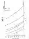 Fig. 07 - Reinforced structural steel decking