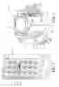 Fig. 02 - Pharmaceutical singulation counting and dispensing system