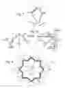 Fig. 07 - Resonating star gyroscope