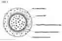 Fig. 02 - Method for growing silicon single crystal, and silicon wafer