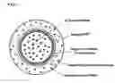 Fig. 02 - Method for manufacturing silicon single crystal, and silicon wafer