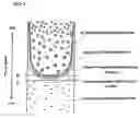 Fig. 04 - Method for manufacturing silicon single crystal, and silicon wafer