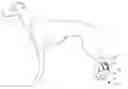Fig. 01 - Animal wound shield