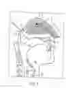 Fig. 02 - Nasal delivery device