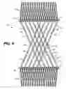 Fig. 09 - Stretch comb hair retainer