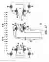 Fig. 06 - Sterile de-molding apparatus and method