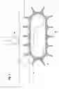 Fig. 04 - Method and device for attaching advertising media to bottles