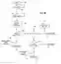 Fig. 06 - Method of operating a combustion -powered tool