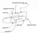 Fig. 01 - Mono-track vehicle