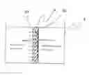 Fig. 01 - Electrode forming method