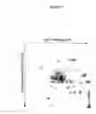 Fig. 08 - Integrated 2D gel electrophoresis method and system