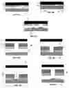 Fig. 02 - Method of forming electrically isolated structures using thin dielectric coatings