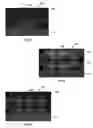 Fig. 06 - Method of forming electrically isolated structures using thin dielectric coatings