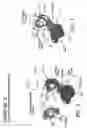 Fig. 03 - Pacifier protective assembly