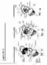 Fig. 06 - Pacifier protective assembly