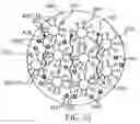 Fig. 19 - Method for inhibiting microbial growth in liquid nutrients