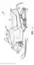 Fig. 02 - Integrated liquid-gas separator and reservoir