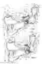 Fig. 02 - Water guns