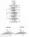 Fig. 08 - Detection method and detection device of special drugs
