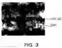 Fig. 03 - Nitride semiconductor device