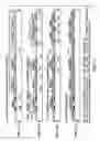 Fig. 04 - Electro-optical device and manufacturing method thereof