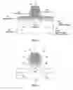 Fig. 03 - SiGe nickel barrier structure employed in a CMOS device to prevent excess diffusion of nickel used in the silicide material