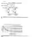 Fig. 05 - High performance PFET header in hybrid orientation technology for leakage reduction in digital CMOS VLSI designs