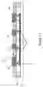 Fig. 13 - Collapsing zipper varactor with inter-digit actuation electrodes for tunable filters