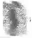 Fig. 12 - Alloy material for semiconductors, semiconductor chip using the alloy material and production method of the same