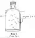 Fig. 02 - Container for inhibiting microbial growth in liquid nutrients