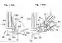 Fig. 08 - Mounting method of clip and weather strip