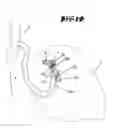 Fig. 11 - Headrest with adjustment mechanism