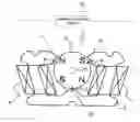 Fig. 01 - Step motor